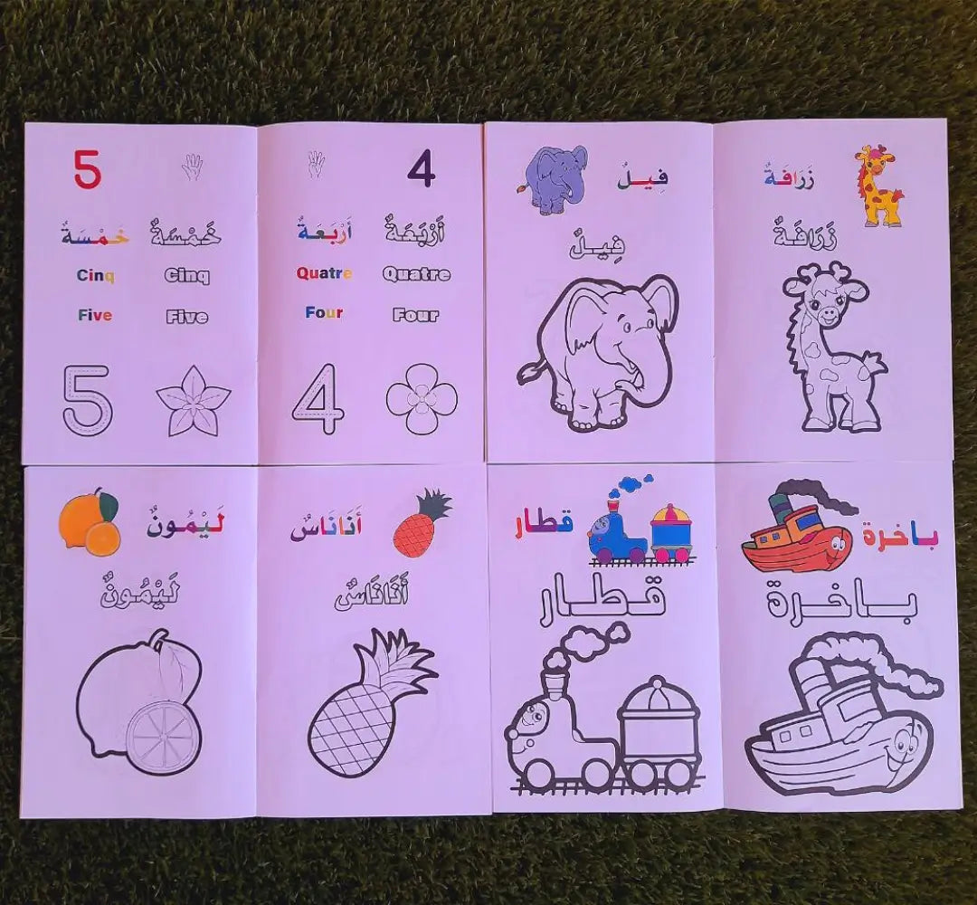 8  كراريس التلوين